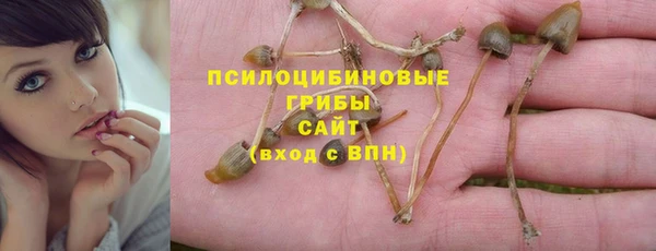 спайс Абдулино