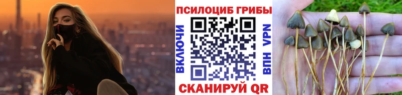 ОМГ ОМГ как войти  Абинск  Псилоцибиновые грибы Cubensis 